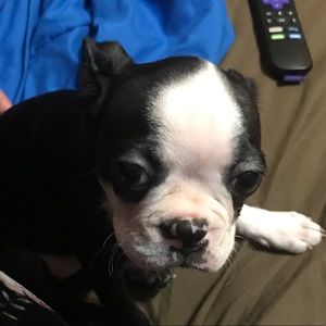 Meet your Posher, Christina